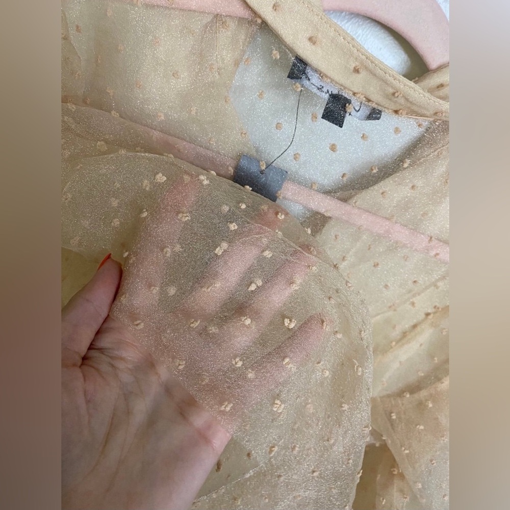 Lulu's Sheer Top - Picture 3 of 3